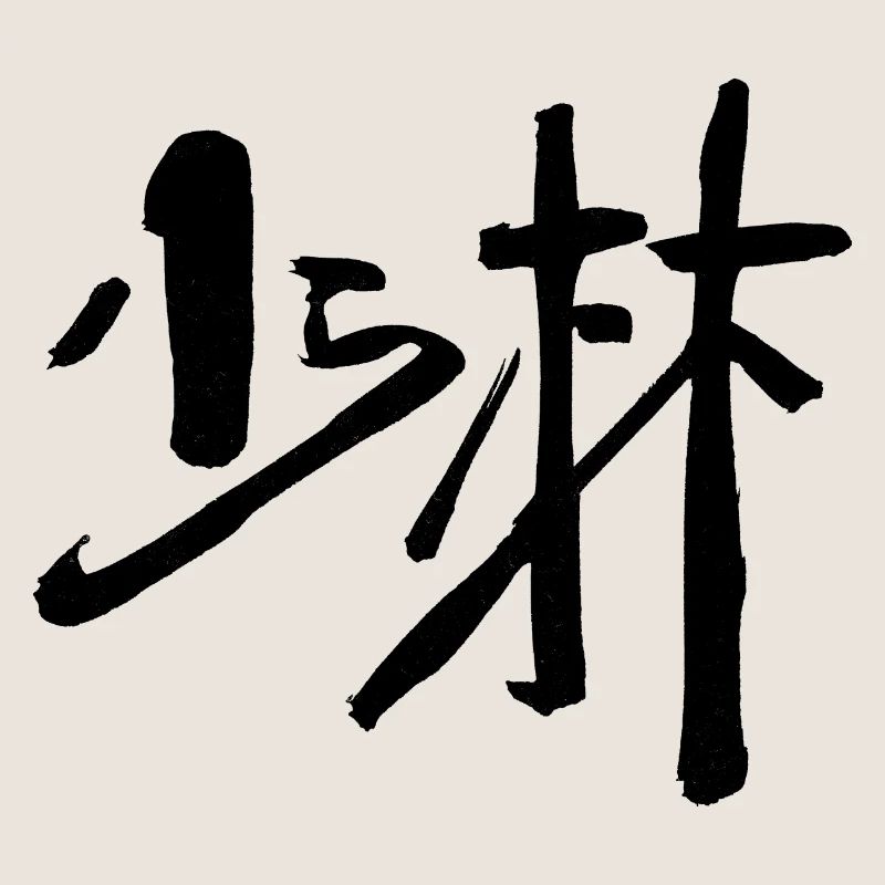 Shaolin (Chinesisch) - KUNGFU