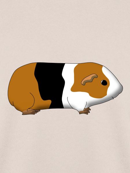 dreifarbiges Meerschweinchen