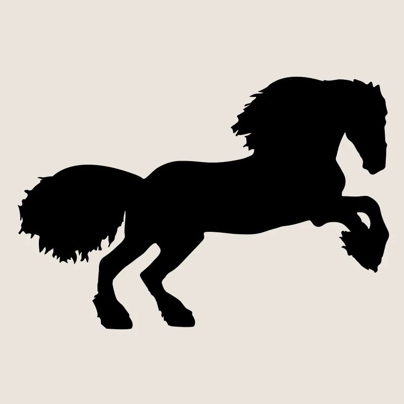 Friese