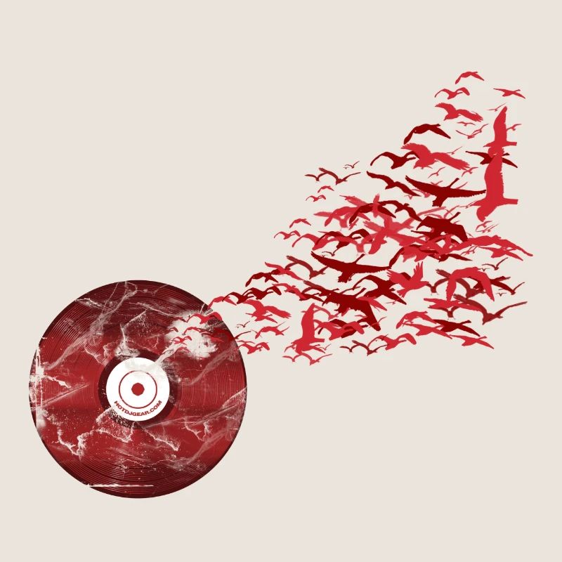 Vinyl Vögel