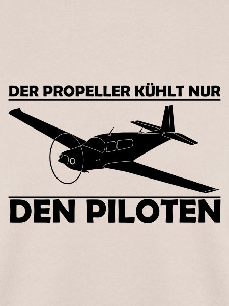 Mooney Motorflugzeug Geschenk