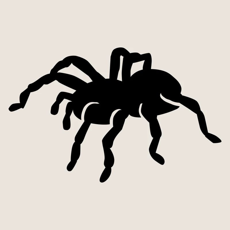Spinne
