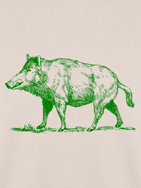 pig39