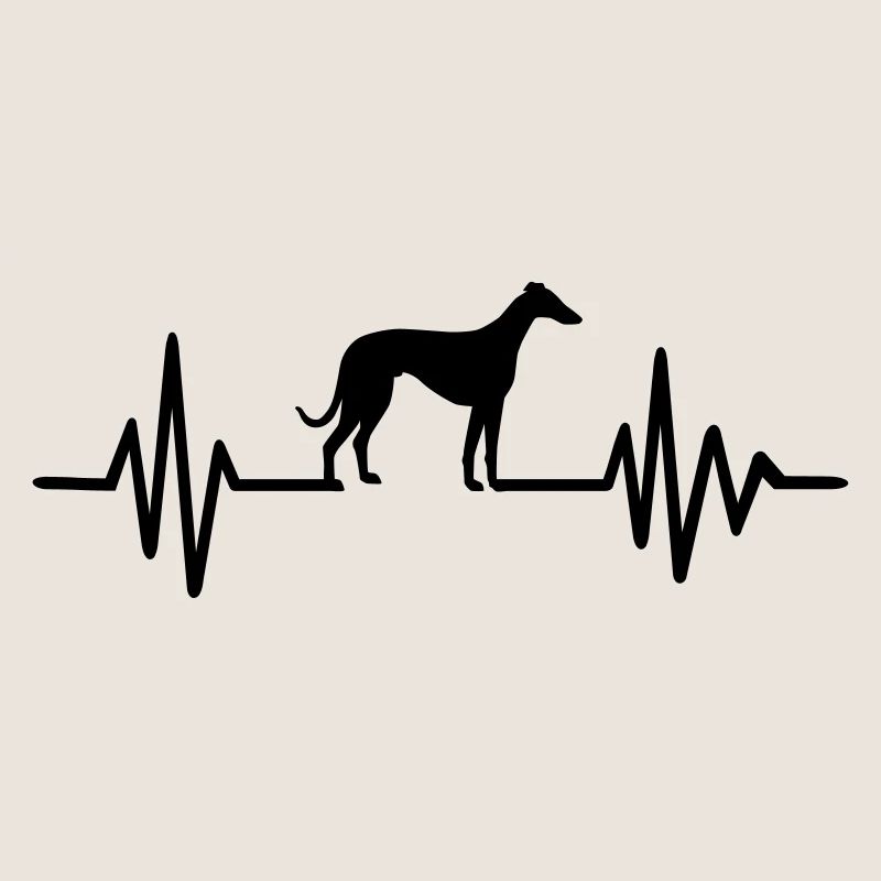 Whippet