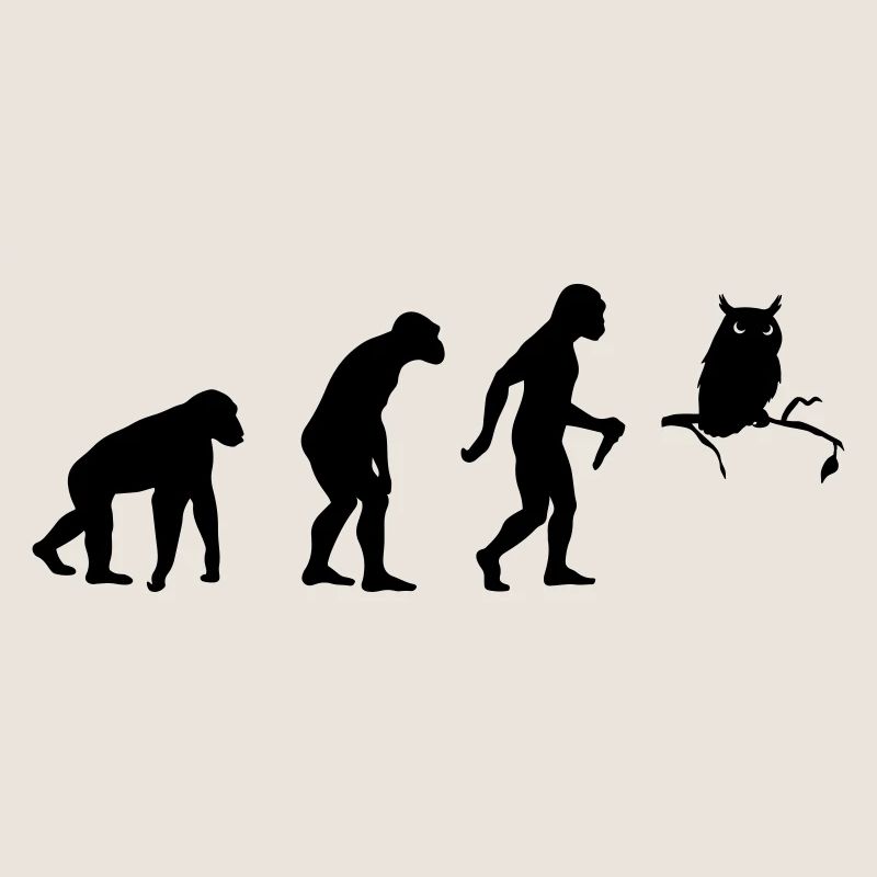 Owl Evolution