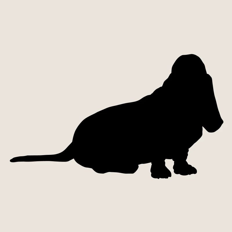 Basset