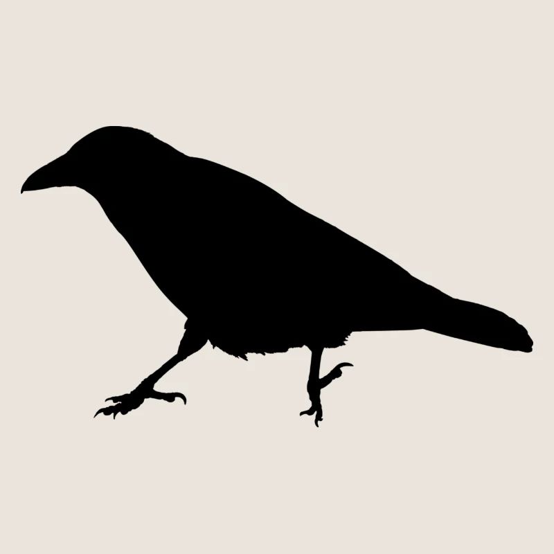 Krähe Rabe Silhouette