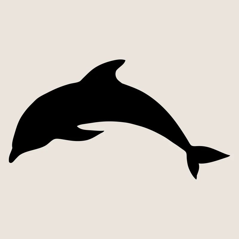 Delfin Tier Meer