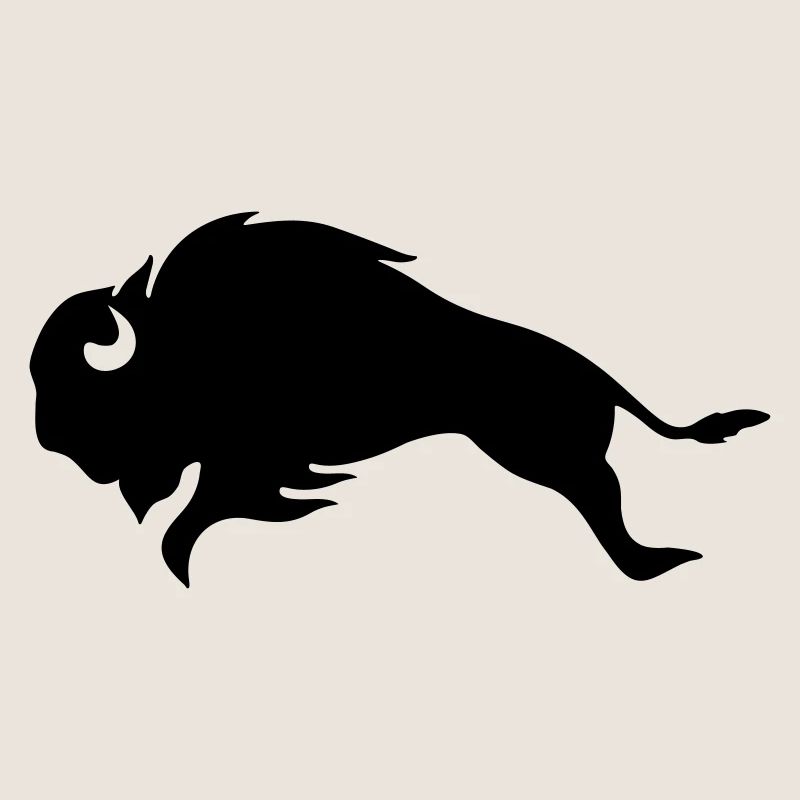 BLACK BISON BULL