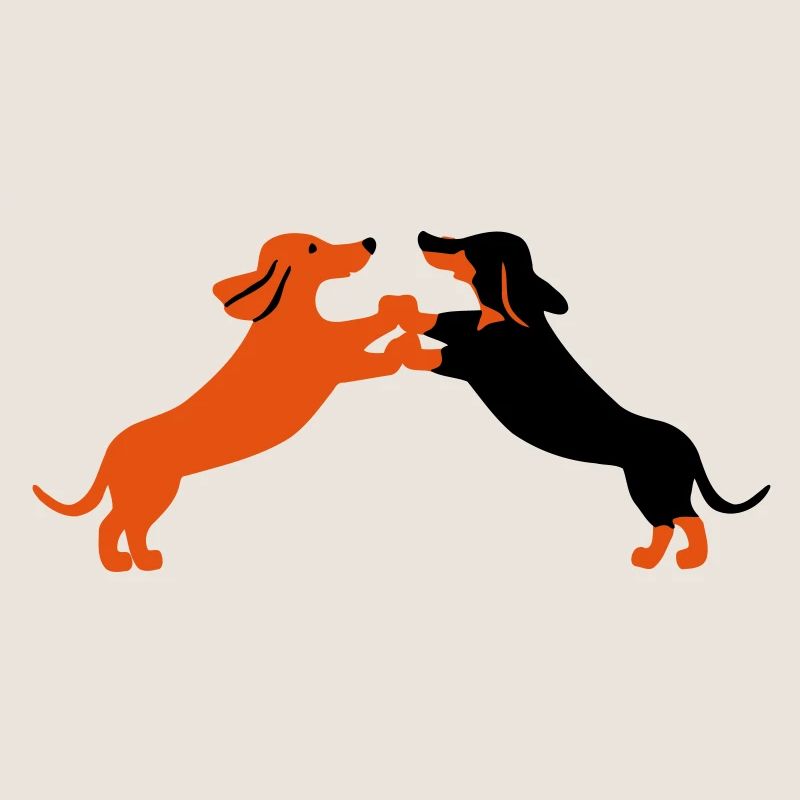 dog dancing teckel