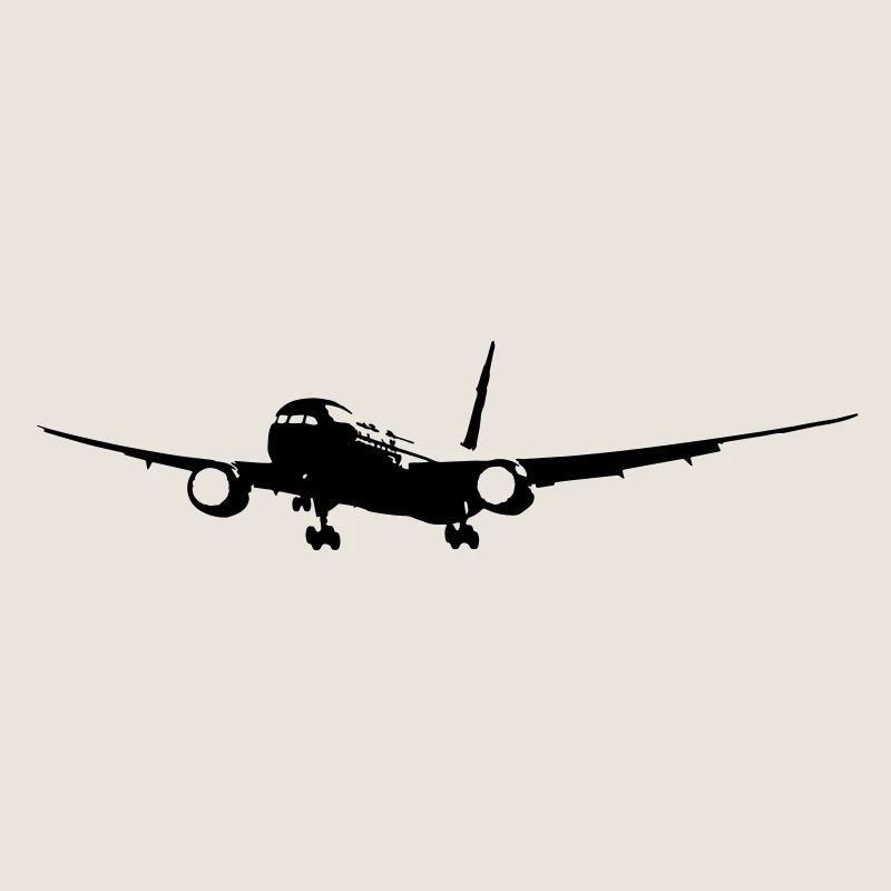 B-787 Flugzeug