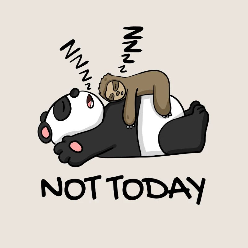 Faultier und Panda