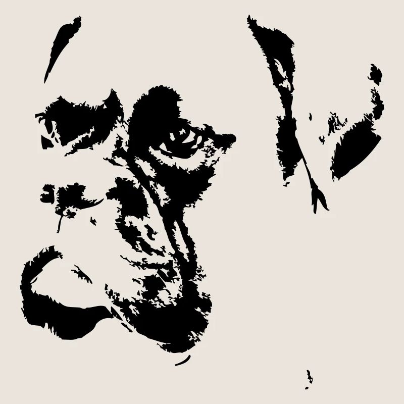 boxer