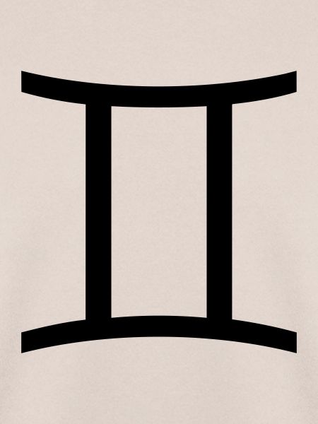 zwillinge1