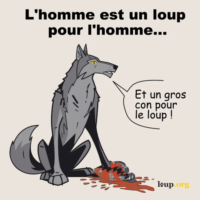 wolfman