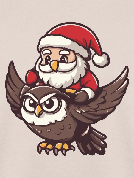 Eule Weihnachtsmann Cartoon