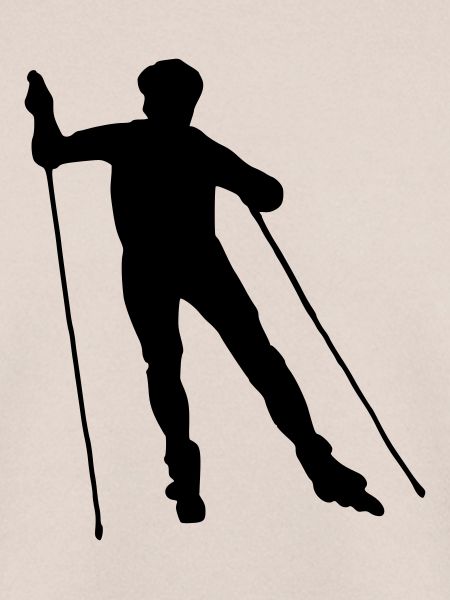 nordic skating