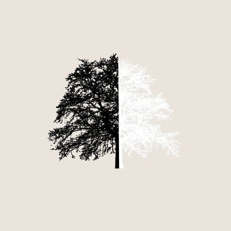 Tree Tree Black White Illusion