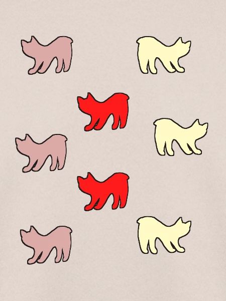 Katzen ohne Schwanz