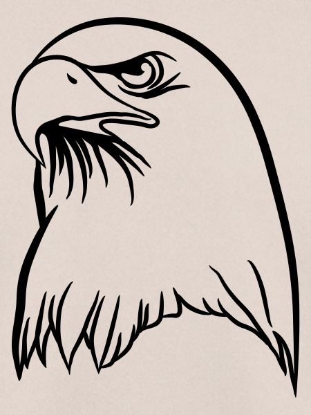 Adler freiheit