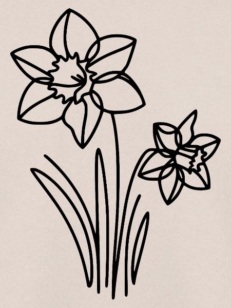 Gezeichnete Blume - Narzisse