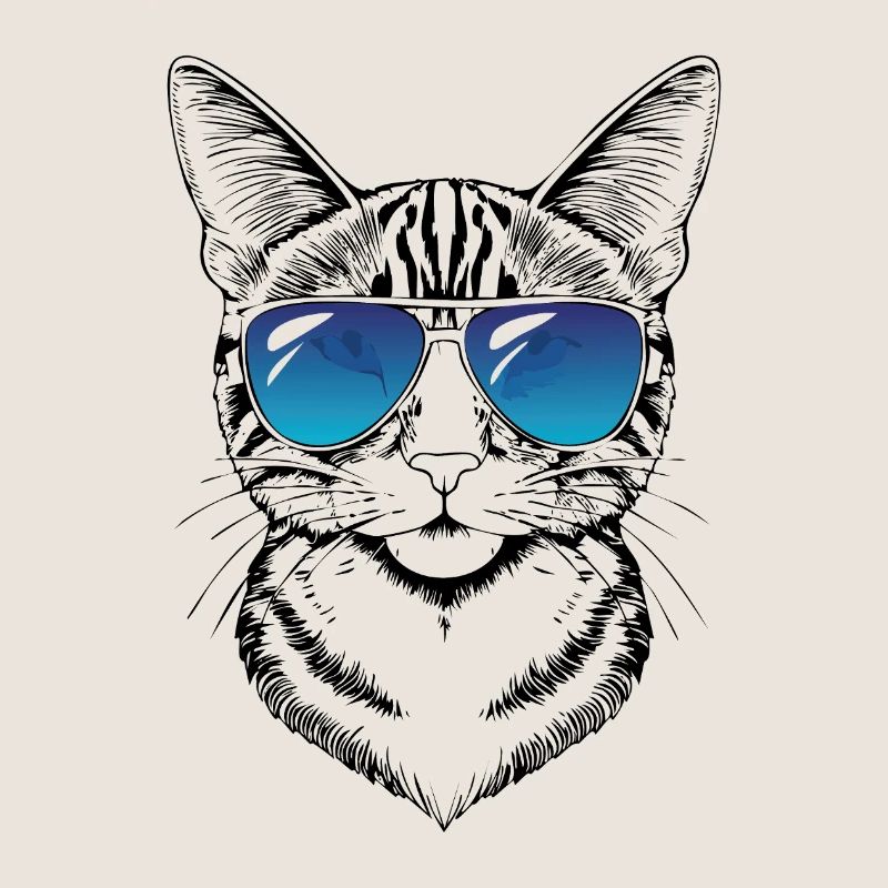 Katze Cat