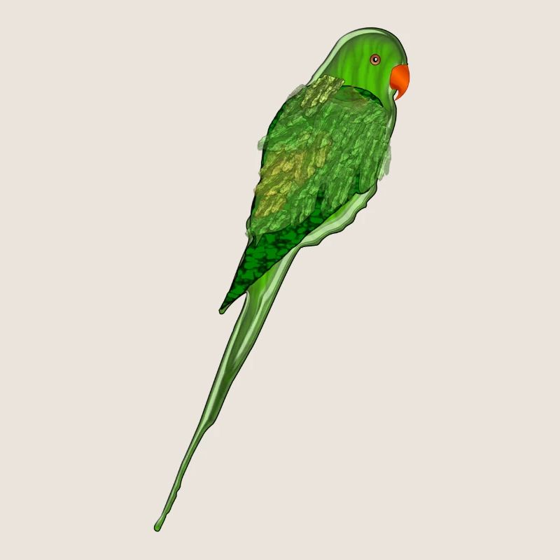 parrot35