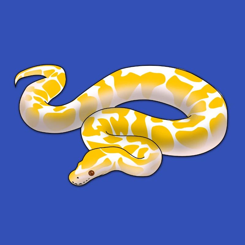 Albino ball python Python regius ballpython motif