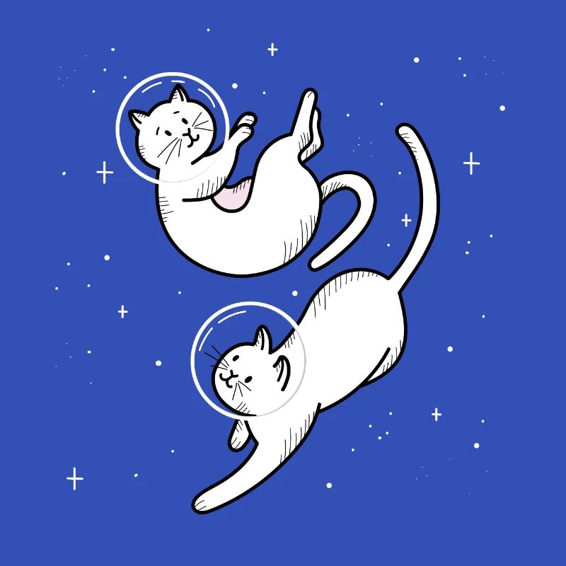Conception de l'espace chats