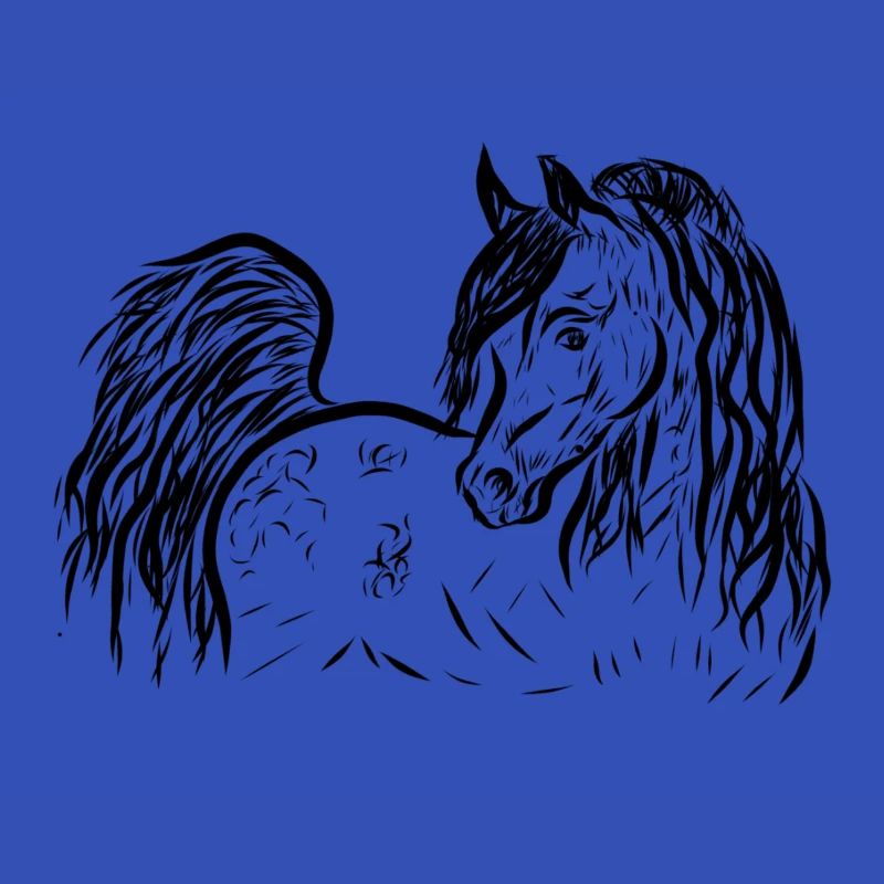 Araber Pferd