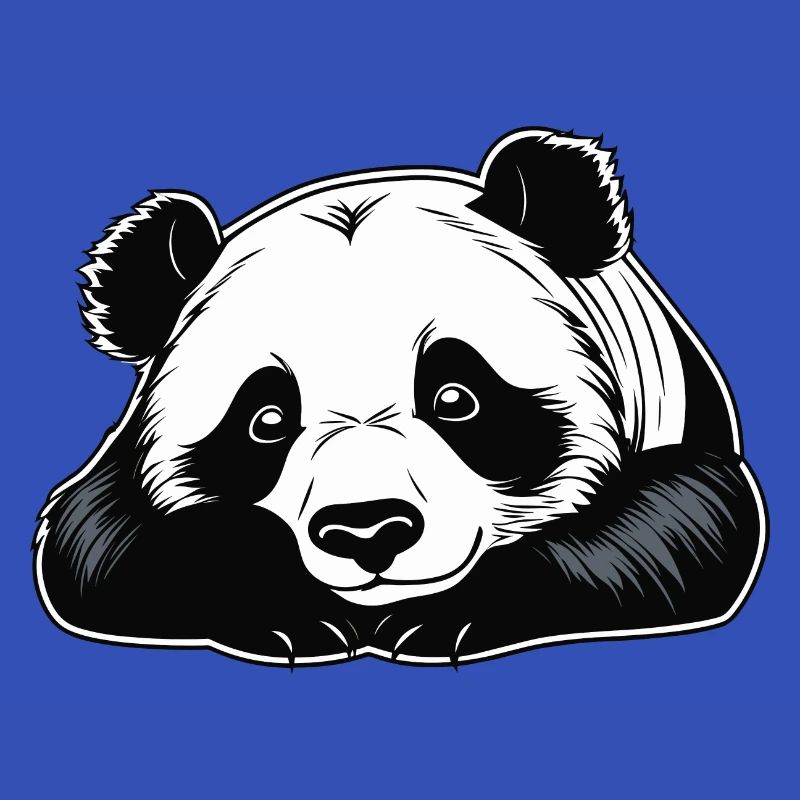 Panda Illustration
