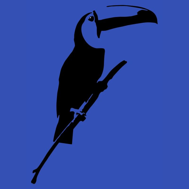 Toucan