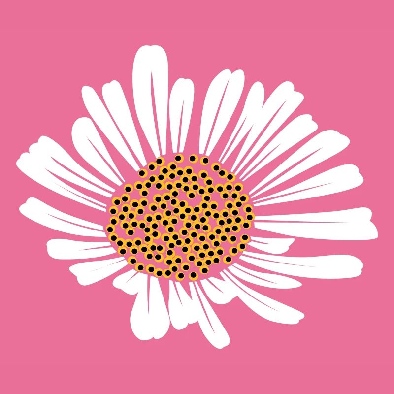 Gänseblümchen