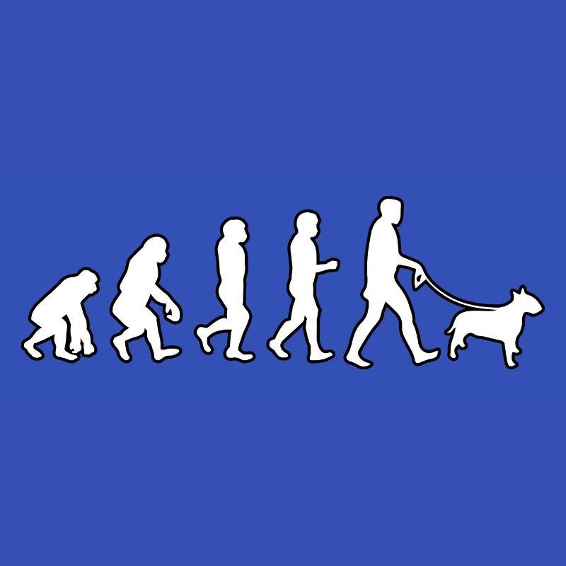 EVOLUTION Labrador
