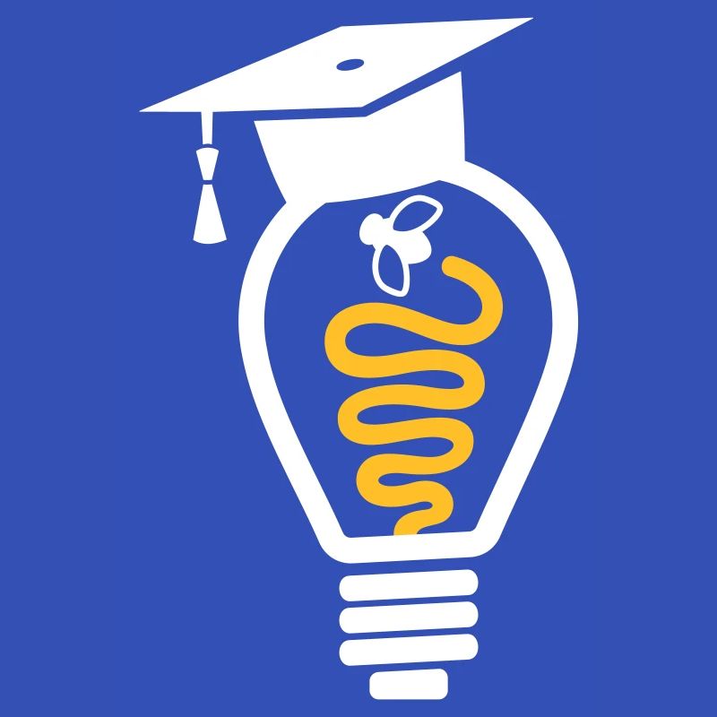 Light bulb mortarboard fly - graduation gift
