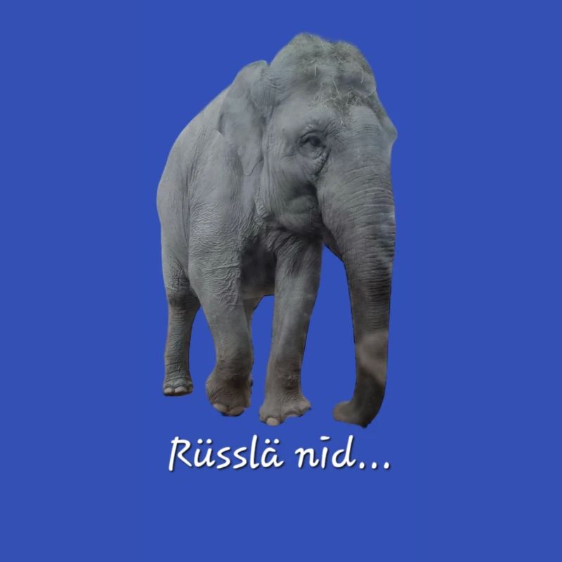 Nid rüsslä