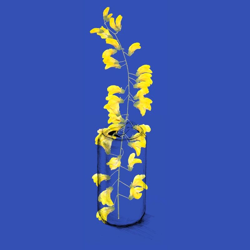 Une boîte de fleurs