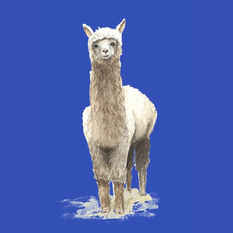 Lama