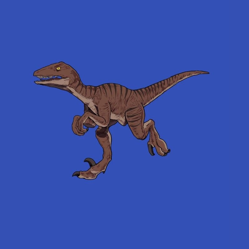 Zeichnung des Velociraptor