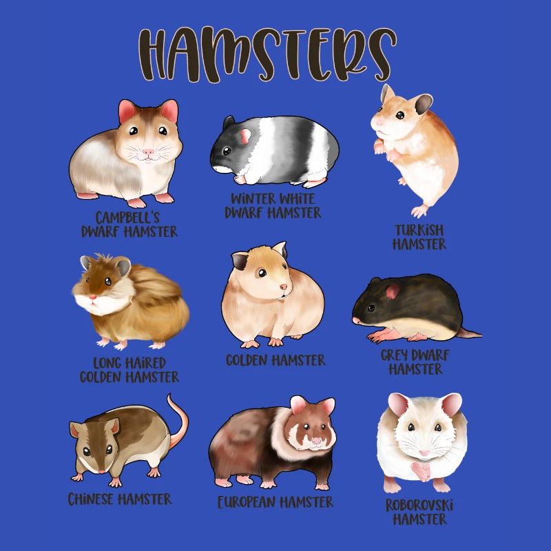 Viele verschiedene Hamster
