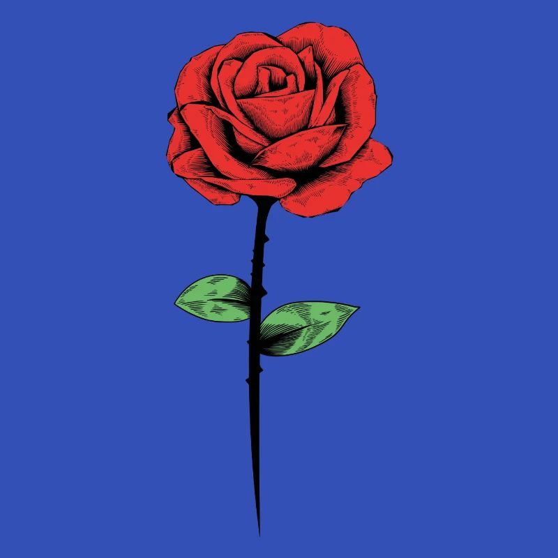 rose blume