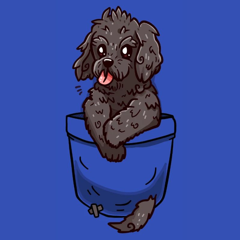 Pocket Cockapoo