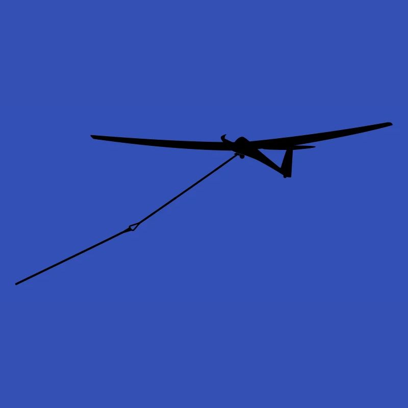 Glider Glider Glider Pilot Pilot