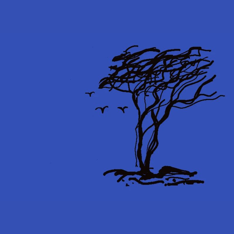 windflüchter 2