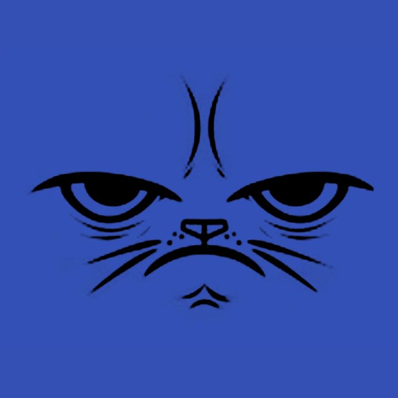 Crumpy Cat - Geschenk Geschenkidee Gesicht
