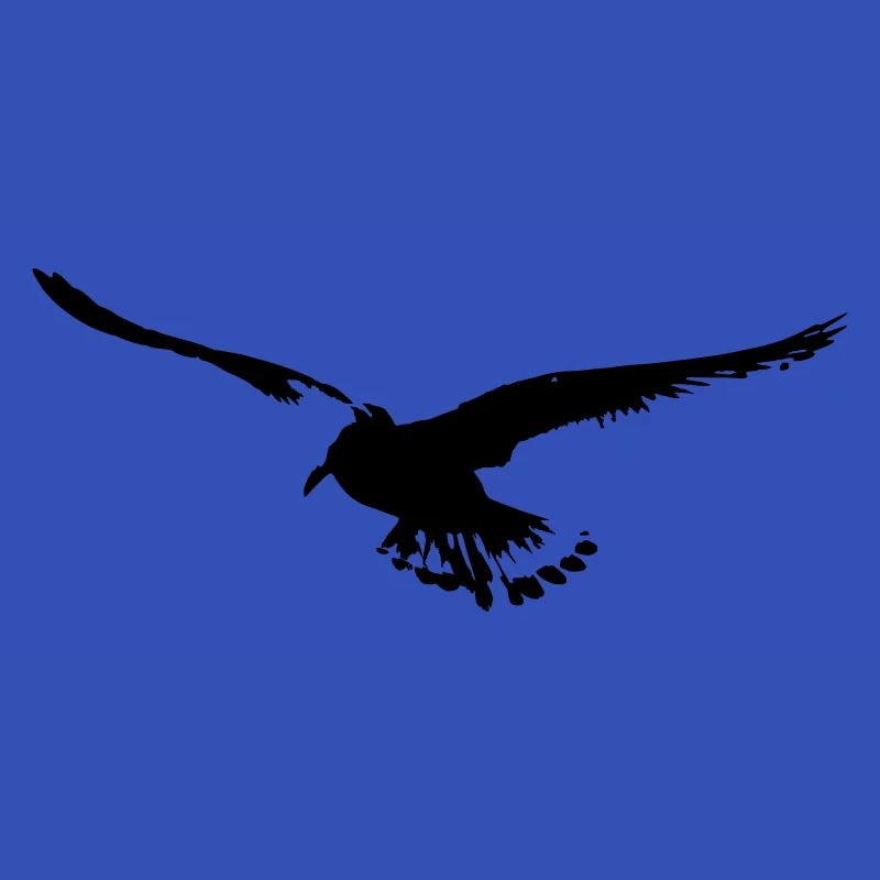 Möwe