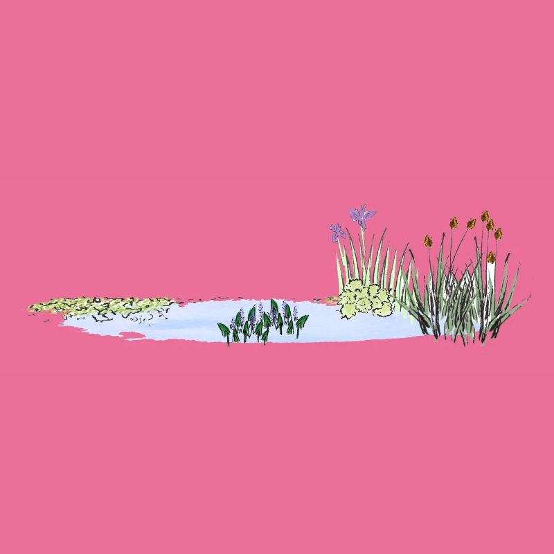 Teich