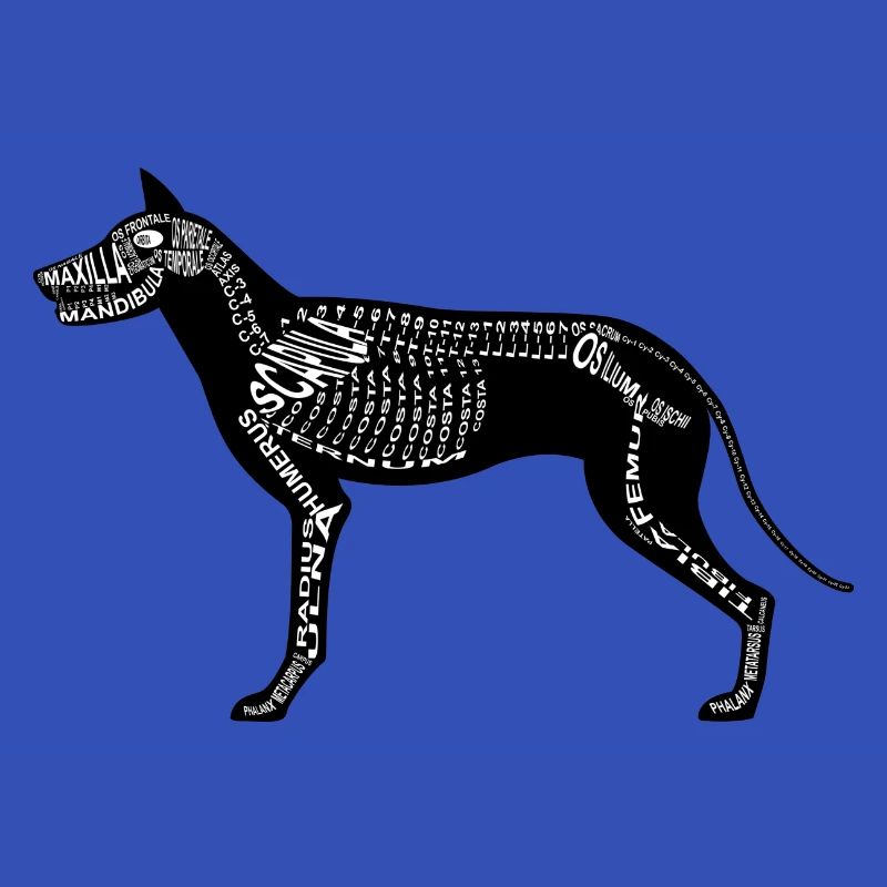 Hunde-Skelett