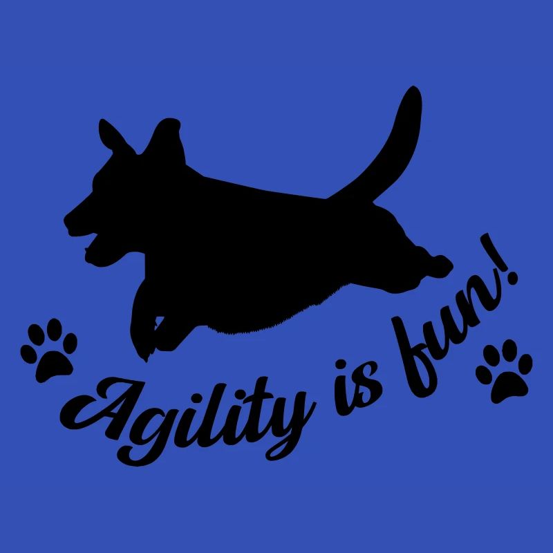 Agility is fun!