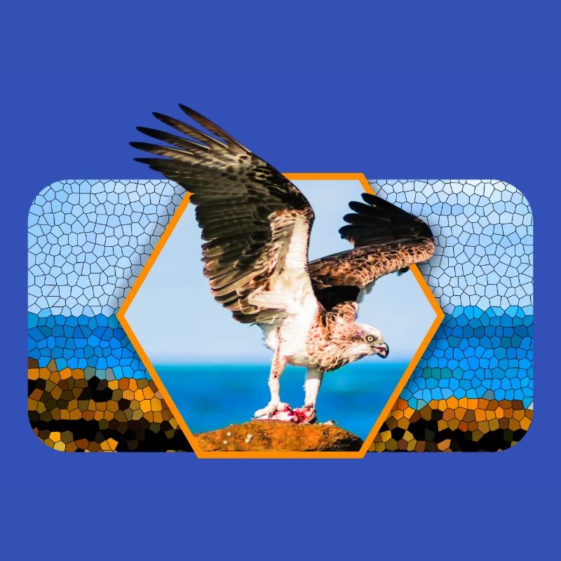 Aigle aux ailes déployées et forme graphique